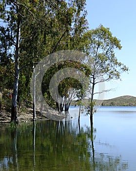 Great nature at the Embalse de Orellana, Badajoz - Spain