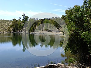 Great nature at the Embalse de Orellana, Badajoz - Spain