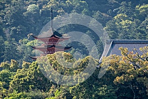 The great nature of hill with the japanese symbolic red shrine