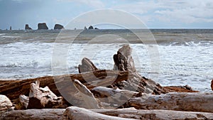 Great nature at La Push - The Beach at Quileute Reservation - travel photography