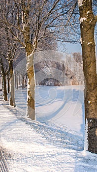 Great nice cozy winter landscape in the Netherlands