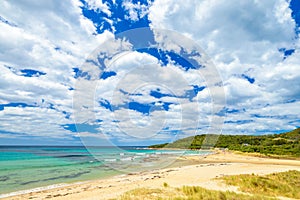 Great Ocean Road, Lorne Queenscliff Coastal Reserve, Victoria, A