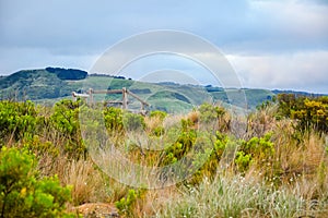 Great Ocean Road scenic drive of Melbourne