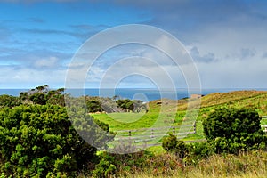 Great Ocean Road - Scenic Drive view