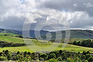 Great Ocean Road - Scenic Drive view