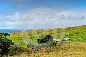 Great Ocean Road - Scenic Drive view