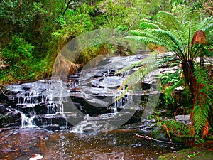 Great Otway National Park Waterfall