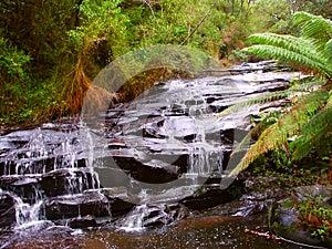 Great Otway National Park Waterfall