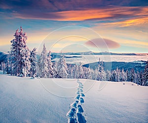 Great outdoor scene of winter mountains. Fabulous sunrise in Carpathians, Ukraine, Europe. Snowy morning view of mountain valley.