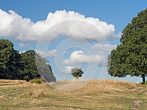 The Great Outdoors - open countryside, UK.