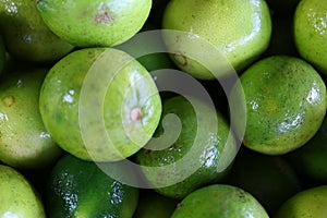 Citrus Limes on Display Closeup with Macro Lens