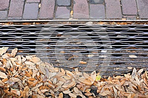 Steel Drainage Grate with Bricks and Leaves