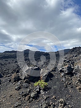 This is the great and powerful cumbre vieja volcano on the island of La Palma. Consequences of the eruption photo