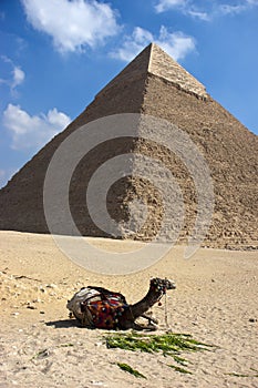 Great Pyramid Cheops Giza Cairo Egypt Ancient