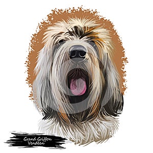 Great Pyrenees, Pyrenean Mountain, Pyr, GP, PMD dog digital art illustration isolated on white background. France, Spain origin
