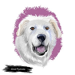 Great Pyrenees, Pyrenean Mountain, Pyr, GP, PMD dog digital art illustration isolated on white background. France, Spain origin