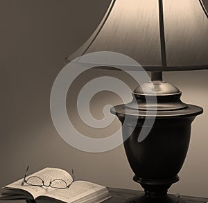 A Great Read (in sepia) photo