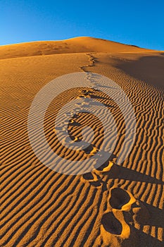 Great Sand Dunes