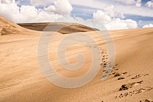 Great Sand Dunes Colorado