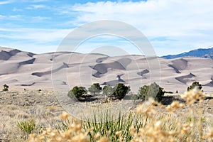 Great Sand Dunes, Colorado, Western Desert Landscape