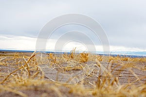 Great Sand Dunes, Colorado, Western Desert Landscape