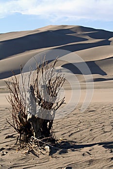 Great Sand Dunes National Park