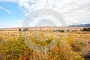 Great Sand Dunes National Park