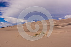 Great Sand Dunes National Park, Colorado