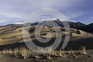 Great Sand Dunes National Park