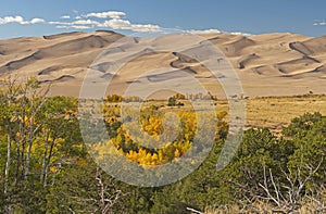 The Great Sand Dunes Rising Above the Fall Forest