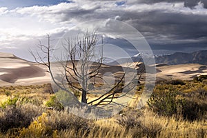 Great Sand Dunes Tourist Spot in Colorado