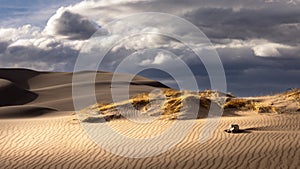 Great Sand Dunes Tourist Spot in Colorado
