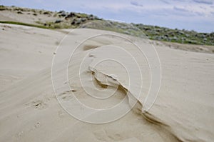 Great Sandhills in Saskatchewan