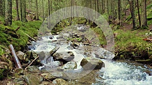 Great scenery view as river flowing through the mountain hills wild nature. Prut river in Carpathian Mountains, Hoverla Peak. Fast