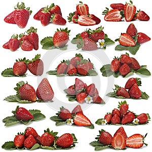 Great set of photographs of strawberries