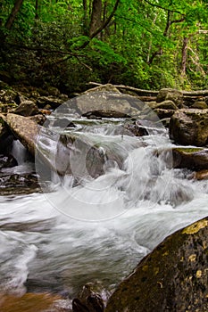 Great Smoky Mountain Waterfall Vertical