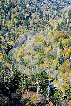 Great Smoky Mountains