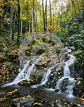 Great Smoky Mountains