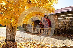 Great Smoky Mountains in fall colors.