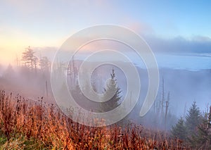 Great Smoky Mountains in fog.