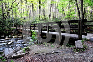 Great Smoky Mountains Kephart Prong Bridge photo