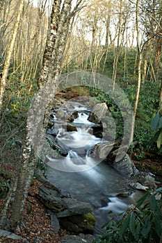 Great Smoky Mountains National Park