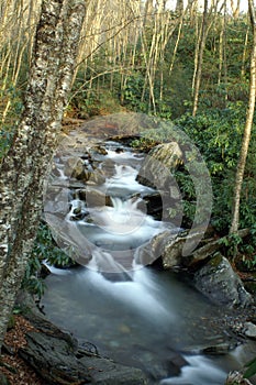 Great Smoky Mountains National Park