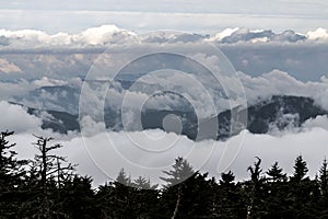Great Smoky Mountains National Park Landscape