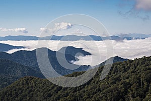 Great Smoky Mountains National Park Landscape