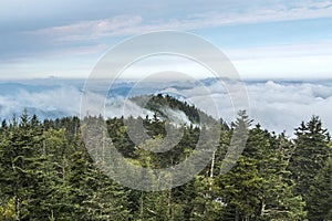 Great Smoky Mountains National Park Landscape