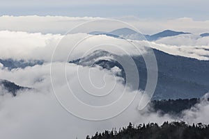 Great Smoky Mountains National Park Landscape