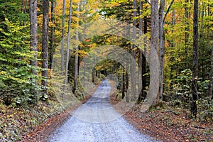 Great Smoky Mountains National Park, North Carolina photo