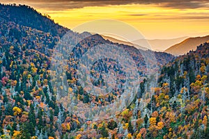 Great Smoky Mountains National Park, Tennessee, USA at the Newfound Pass