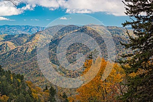 Great Smoky Mountains National Park, Tennessee, USA at the Newfound Pass